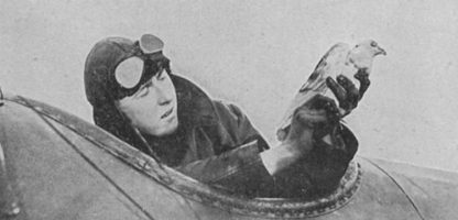Pigeon Post during the Great Patriotic War: Invisible heroes of the frontline
